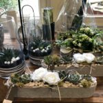 collection ete au chalet fleuri le referentiel comines warneton 01